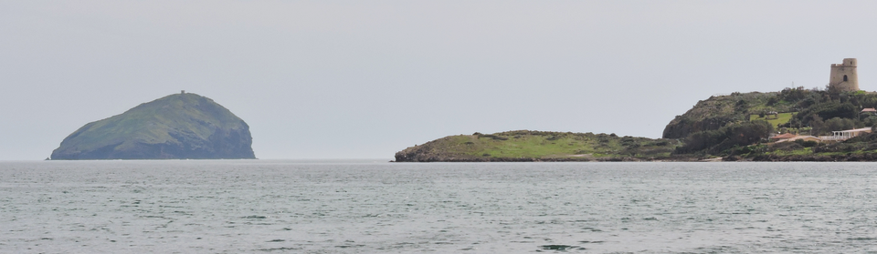 Coaquaddus