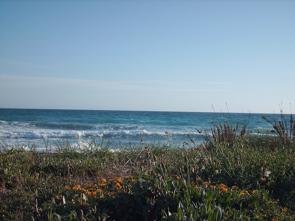 Lido Marini