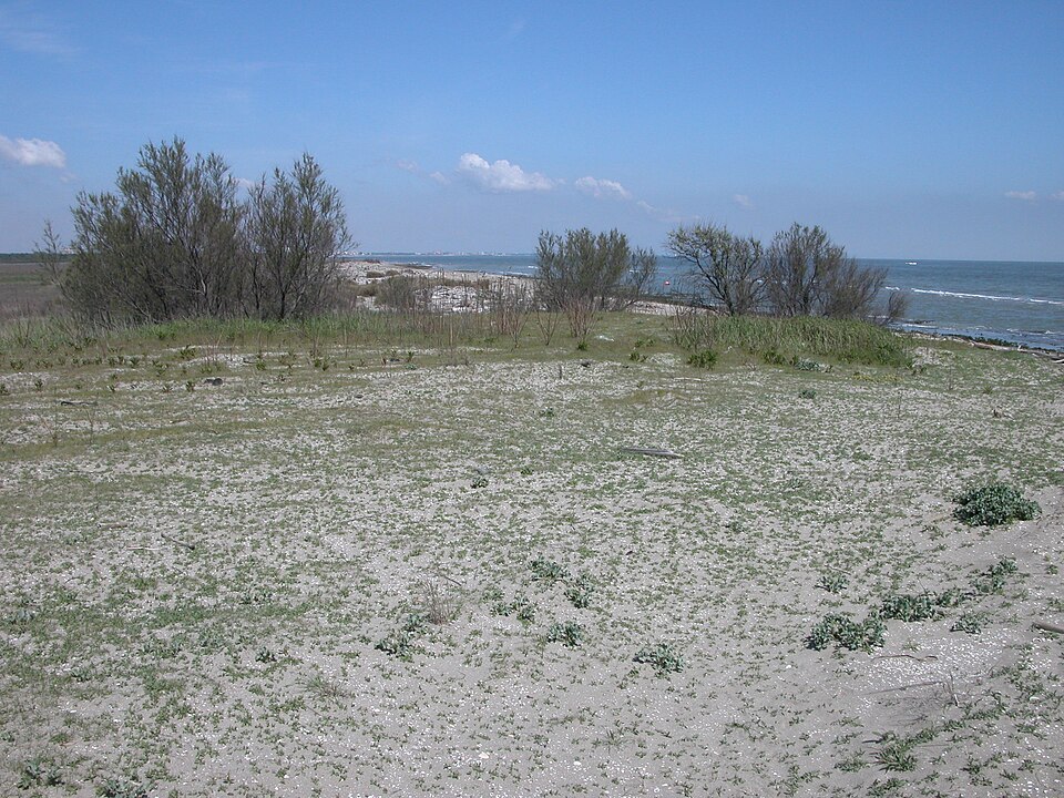 Spiaggia libera di Comacchio