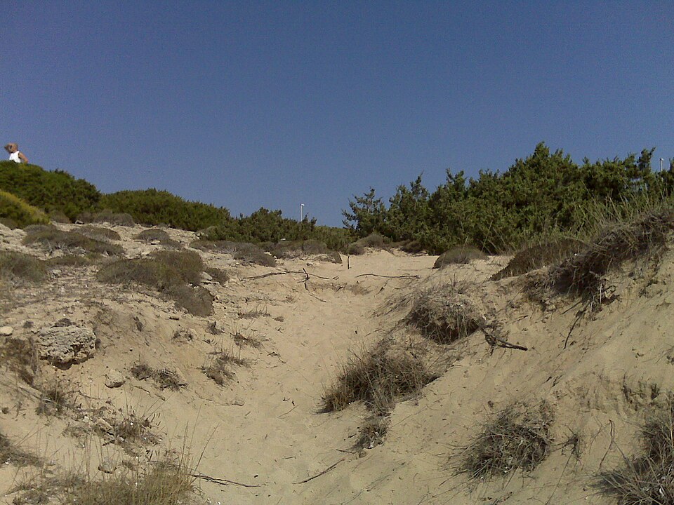 Spiaggia presso le Dune di Campomarino