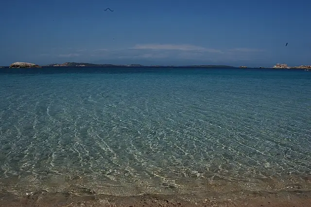 Bassa Trinita
